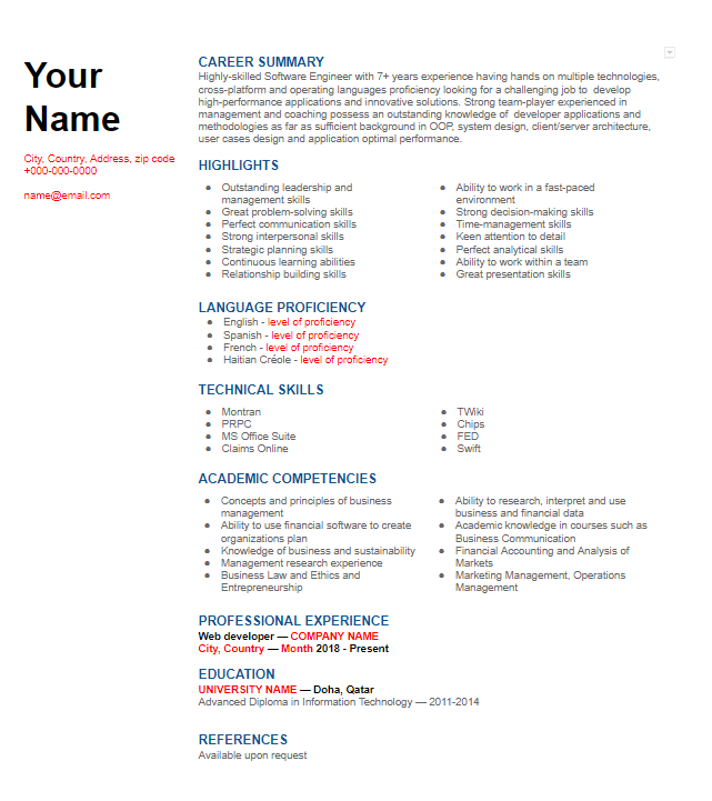 Hybrid Combination Resume Template