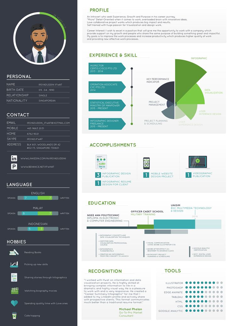 example of infographic resume technology